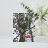 Rose-Ringelkeule. Schnelle Postkarte (Stehend Vorderseite)