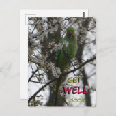 Rose-Ringelkeule. Schnelle Postkarte (Vorne/Hinten)