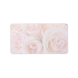 Rose rosa adressaufkleber