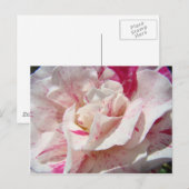 ROSE Rosa Blume 1 Karten Geschenke Tasse (Vorne/Hinten)