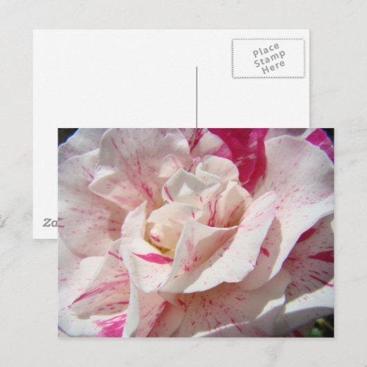 ROSE Rosa Blume 1 Karten Geschenke Tasse (Vorne/Hinten)