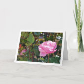 Rose Rosa Blumengarten Karte (Vorderseite)