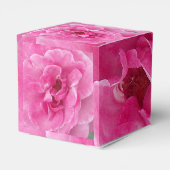 Rose Rosa Garden Geschenkschachtel (Rückseite)