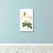 Rose Rosa noisettiana (Rosa noisettiana) von Redou Leinwanddruck (Insitu (Holzboden))