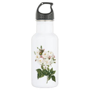 Rose Rosa noisettiana (Rosa noisettiana) von Redou Trinkflasche