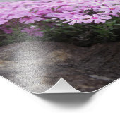 Rose Rosa / Phlox-Blume Fotodruck (Ecke)