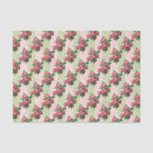 Rose Rosa und grüner Streifen