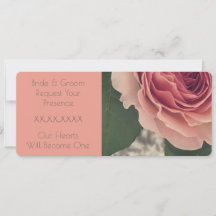 Rose Rosa und Korallen