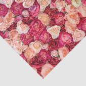 Rose Rose Dekoupage Rosa Decoupage Seidenpapier (Ausschnitt)