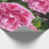 Rose Rose Rosa Vintage Cabbage Blume Blumen Geschenkpapier (Ecke)