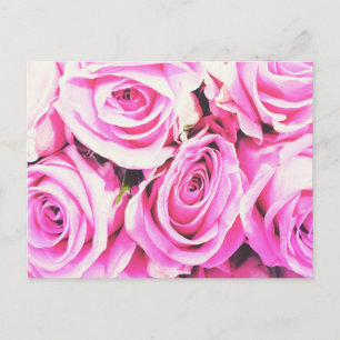 rose roses pink bunch flowers card Postcard Postkarte