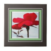 Rose rot fliese (Vorderseite)