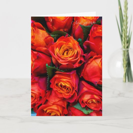 Rose Rot Karte (Vorderseite)