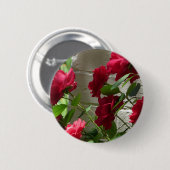 Rose, Rote Rose Button (Vorne & Hinten)