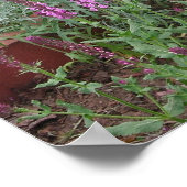 Rose Salvia, Artemesia und Chips Poster (Ecke)
