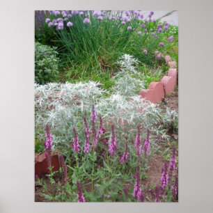 Rose Salvia, Artemesia und Chips Poster