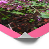 ROSE SALVIA UND ARTEMESIEN POSTER (Ecke)