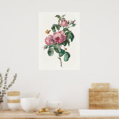 Rose & Schmetterlinge Vintage botanische Kunstdruc Poster (Küche)
