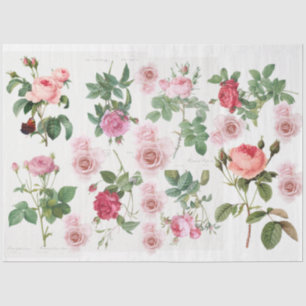 Rose Seidenpapier