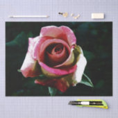 Rose Seidenpapier (Handwerk)