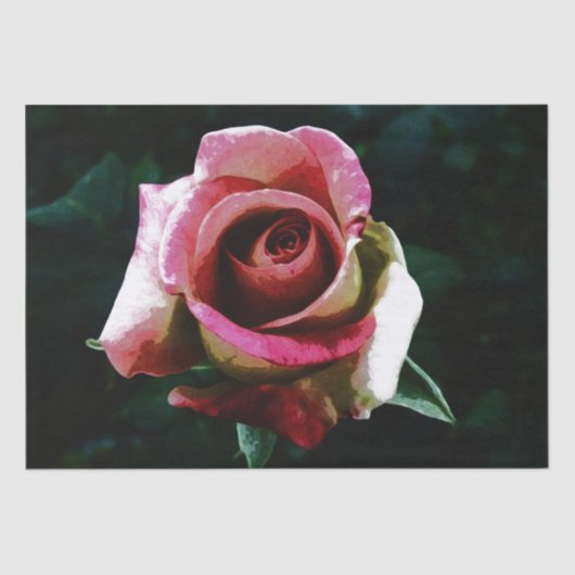 Rose Seidenpapier (Vorderseite)
