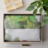 Rose Seidenpapier (Geschenk)