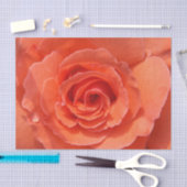 Rose Seidenpapier (Handwerk)