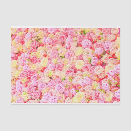Rose Seidenpapier (Vorderseite)