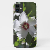 Rose Sharon Case-Mate iPhone Hülle (Rückseite)