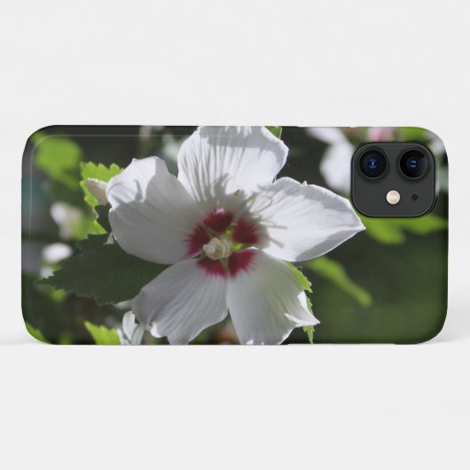 Rose Sharon Case-Mate iPhone Hülle (Rückseite (Horizontal))