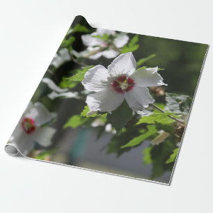 Rose Sharon Geschenkpapier