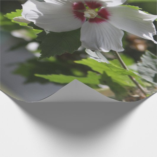 Rose Sharon Geschenkpapier (Ecke)