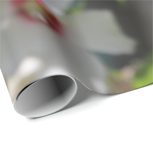 Rose Sharon Geschenkpapier (Rolleneckpunkt)