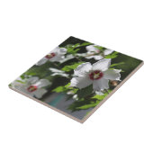 Rose Sharon Keramik Tile Fliese (Seite)
