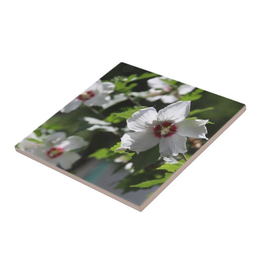 Rose Sharon Keramik Tile Fliese (Seite)