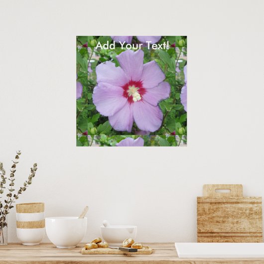 Rose Sharon Lila Red Poster (Küche)