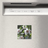 Rose Sharon Magnet (In Situ (Geschirrspüler))