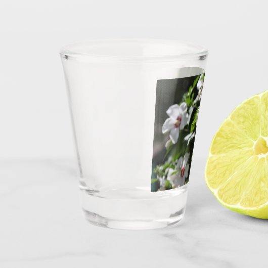 Rose Sharon Schnapsglas (Links)