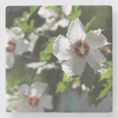 Rose Sharon Steinuntersetzer (Vorderseite)