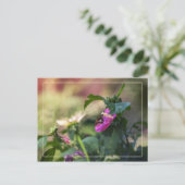 Rose Sharon und Besucher Postkarte (Stehend Vorderseite)
