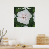Rose Sharon White Red Poster (Küche)