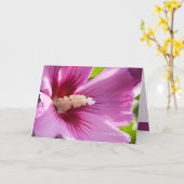 Rose Sharron Karte (Gelbe Blume)