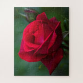 Rose sind 16"x20" einfach puzzle (Vertikal)