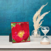 Rose sind aus rotem Foto Fotoplatte (InSitu)