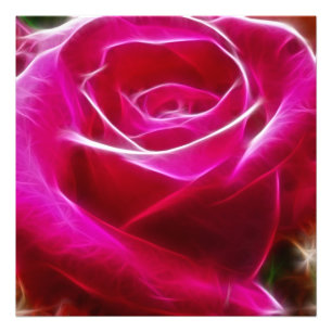 Rose sind neonrosa künstlerisch und einzigartig fotodruck