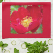Rose sind Red Kitetücher Küchentuch (Gefaltet)