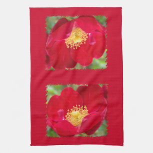 Rose sind Red Kitetücher Küchentuch