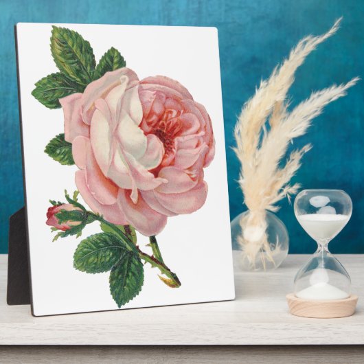 Rose sind rosa fotoplatte (Seite)