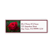 Rose sind rot (Vorne)