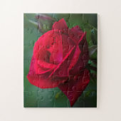 Rose sind rot 11"x14" einfach puzzle (Vertikal)